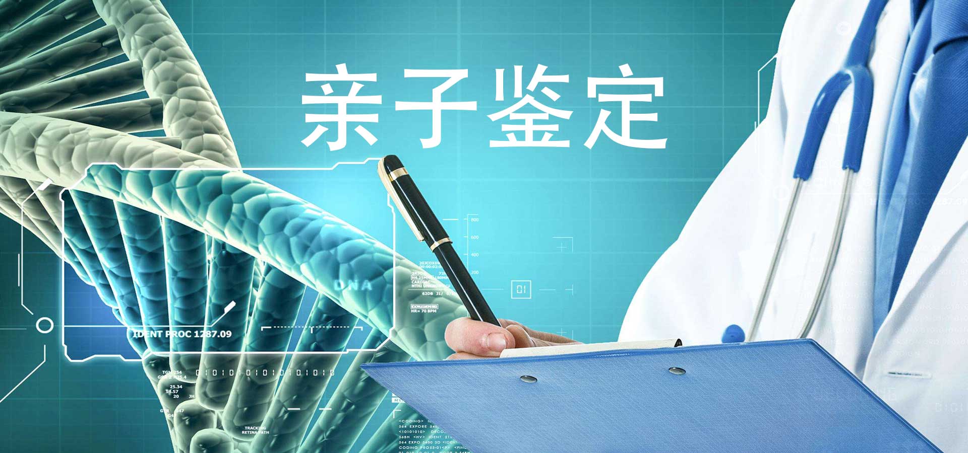 亲子鉴定       胎儿亲子鉴定